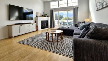 Télévision, cheminée, chaßne hi-fi