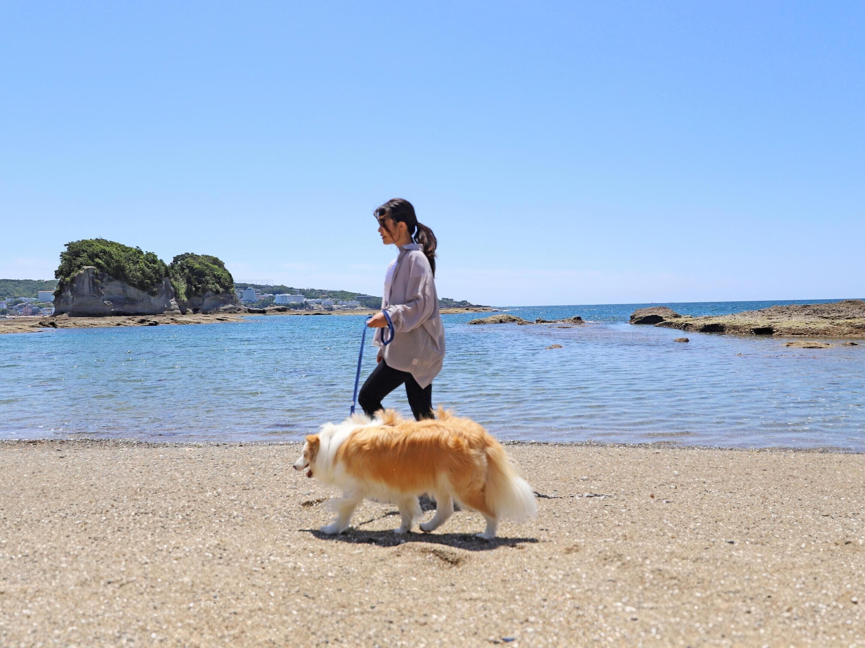 Una persona paseando un perro en una playa pedregosa con agua azul cristalina y afloramientos rocosos al fondo.