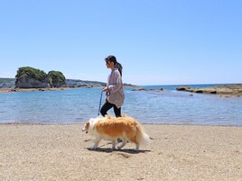 Una persona paseando un perro en una playa pedregosa con agua azul cristalina y afloramientos rocosos al fondo.