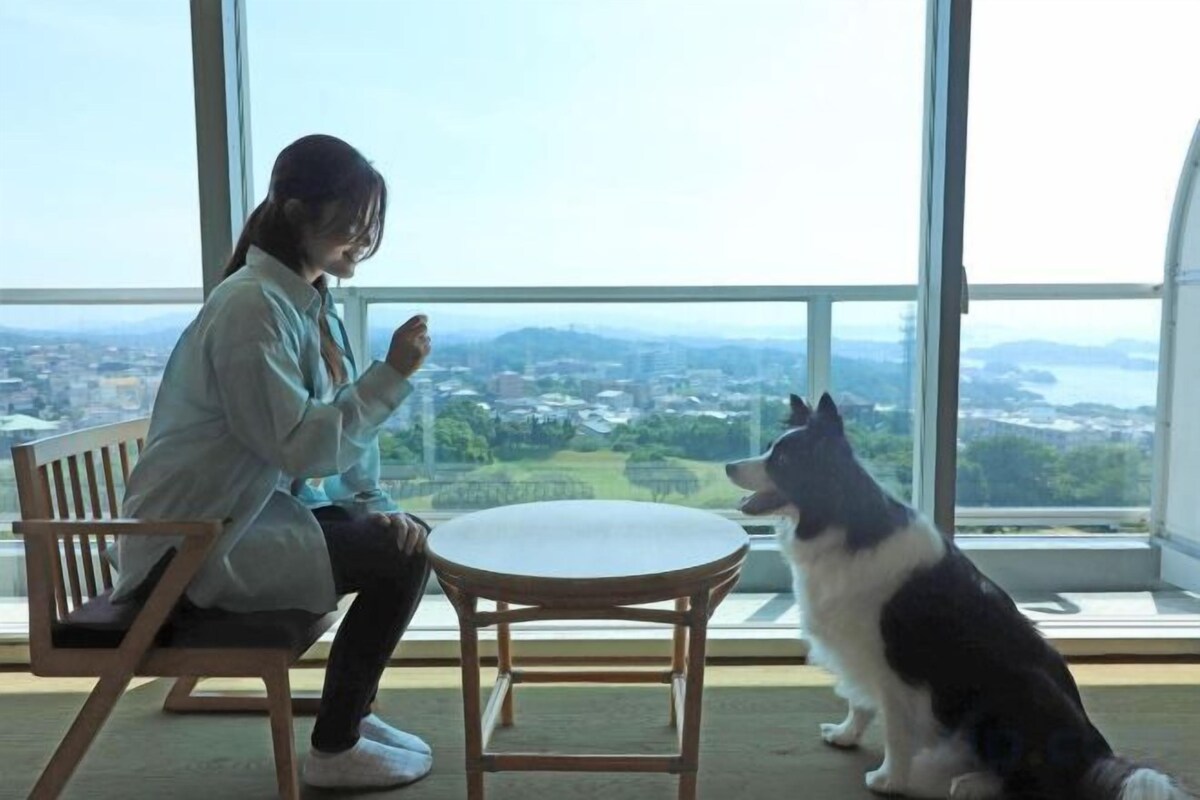 A person sitting at a table with a dog, overlooking a cityscape through a large window.
