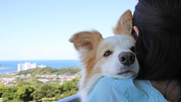 Näkymä parvekkeelta