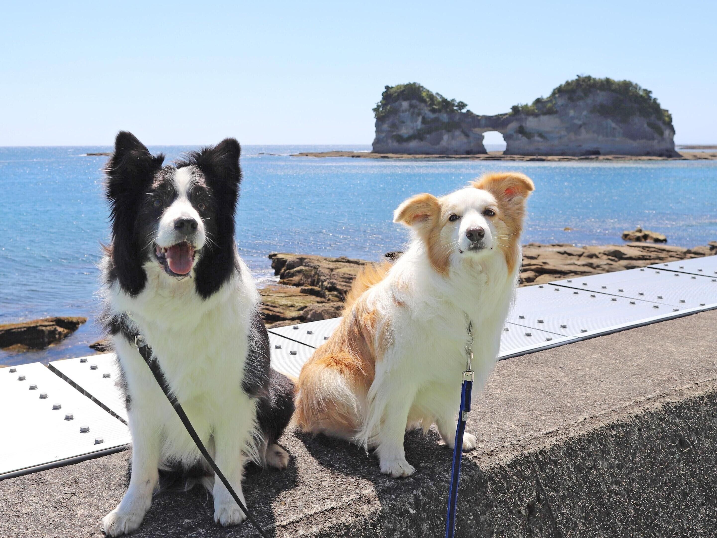 Beach nearby, white sand