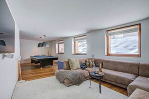 TV, fireplace, books