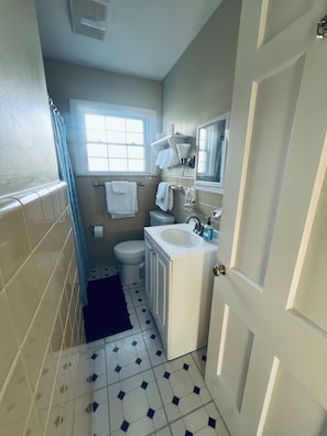 Towels, soap, shampoo, toilet paper - Chagrin Falls light filled 2 bed 1 bath in the Village (Chagrin Falls)