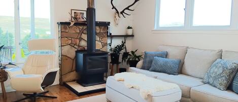 Smart TV, fireplace, books