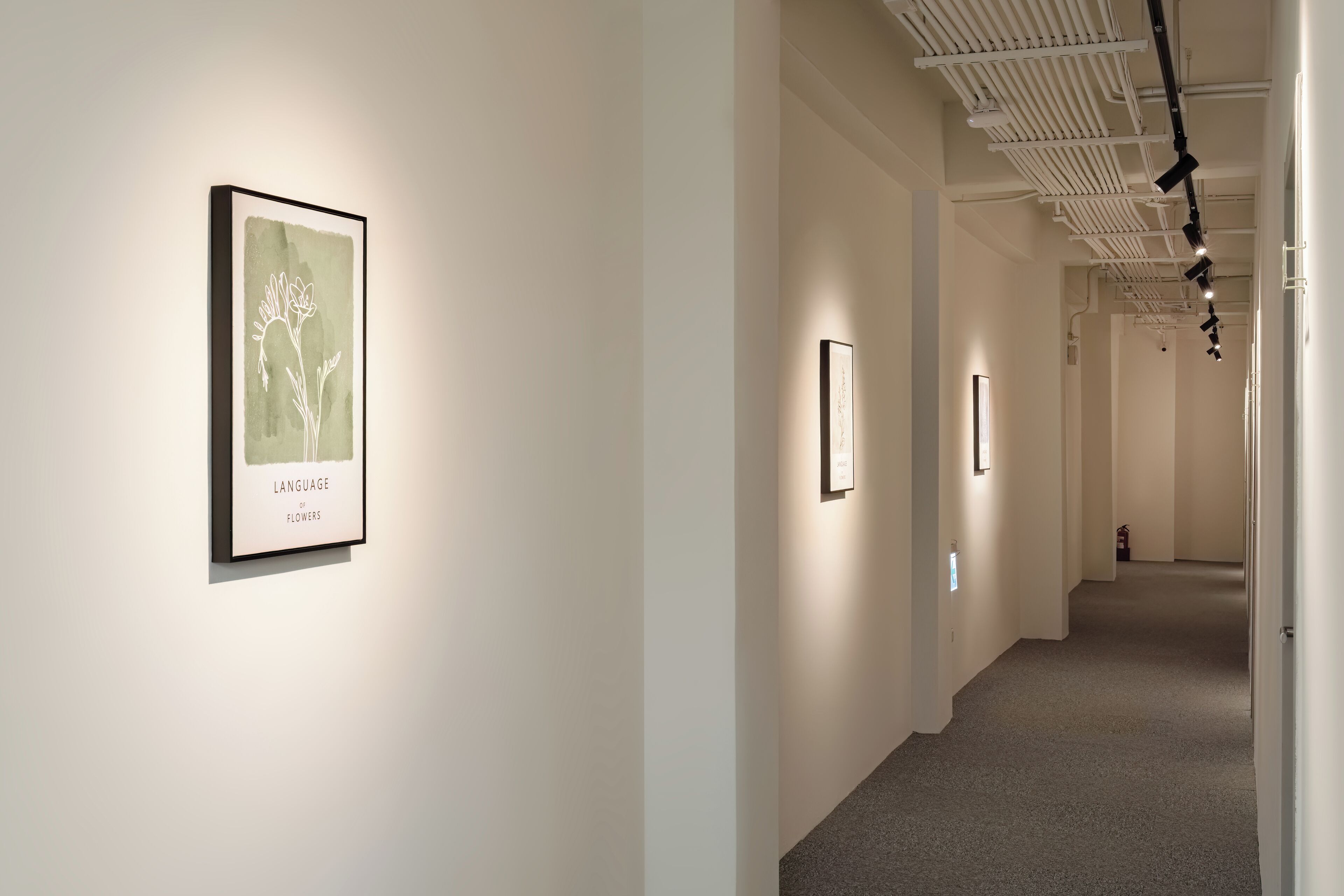 A hallway with framed artwork on the walls, a ceiling with track lighting, and a carpeted floor.