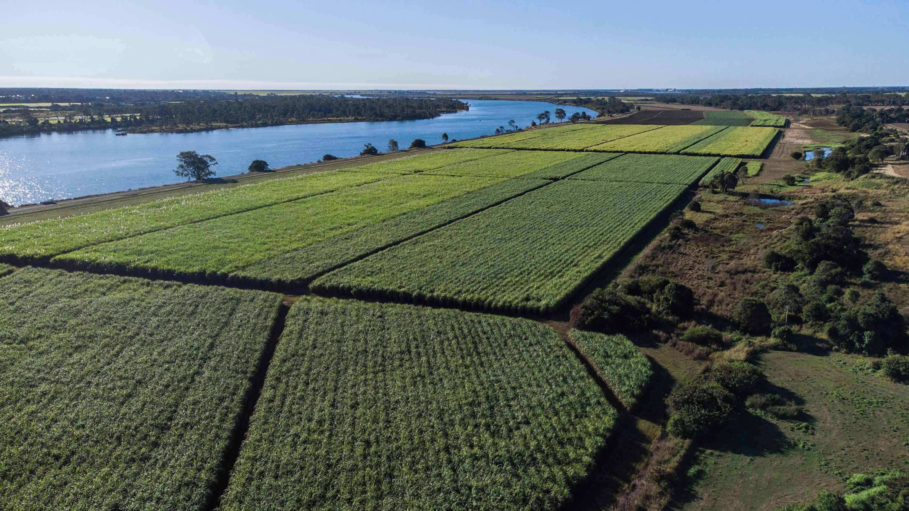 Luchtbeeld van een groot landbouwveld met een rivier op de achtergrond.
