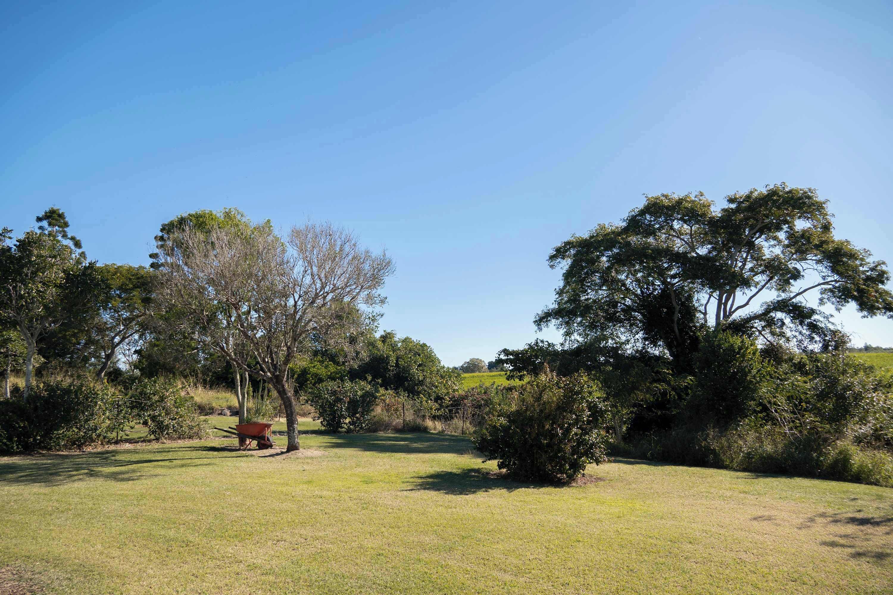 A grassy field with trees and a wheelbarrow.