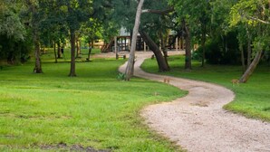 Un sendero de tierra serpentea por un parque con árboles y un parque infantil al fondo.