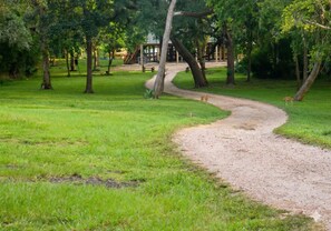 Property grounds - Riverfront, Pool, HotTub, BoatRamp, Deck, Sleeps16 (West Columbia)