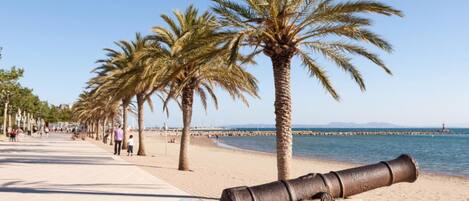 A cannon on a paved walkway by the beach, palm trees, and a clear blue sky.