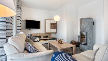 Télévision, cheminée, lecteur de DVD, chaßne hi-fi