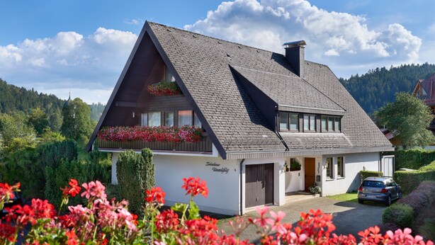 Une maison avec un toit en pente, un balcon orné de fleurs, une voiture garée devant, et un paysage montagneux en arrière-plan.