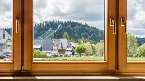 Uitzicht vanuit een raam op een woongebied met huizen, een weg en een beboste heuvel.