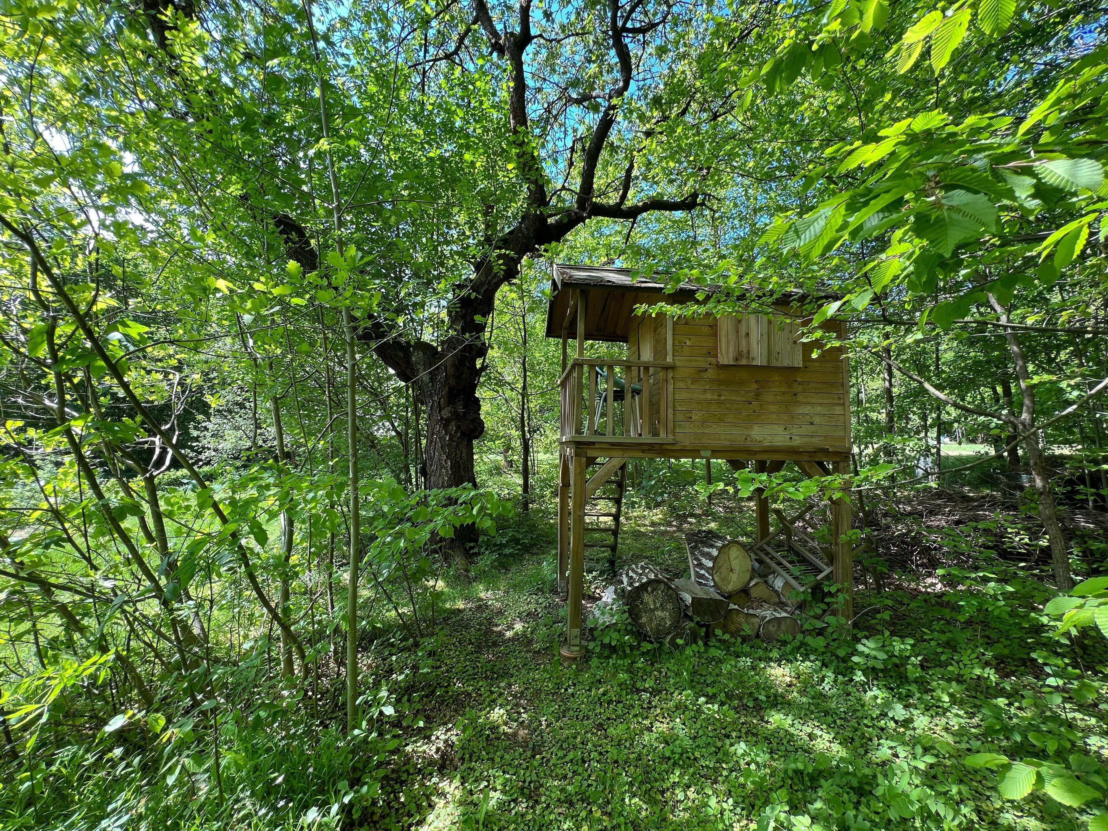 A wooden treehouse structure surrounded by dense foliage.