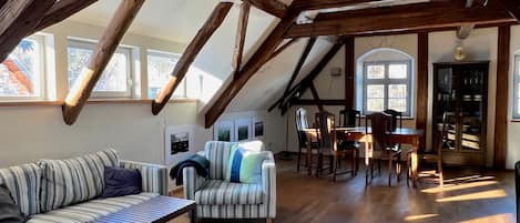 電視、壁爐、DVD 播放機、音響