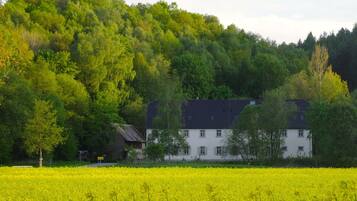 A building with a white facade and dark roof, surrounded by dense green trees and a field of yellow flowers.