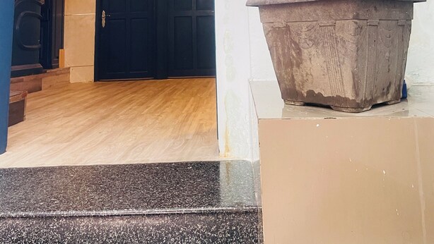 En entré med ett träd i en kruka, en mörk dörr och en hall med en lampa.