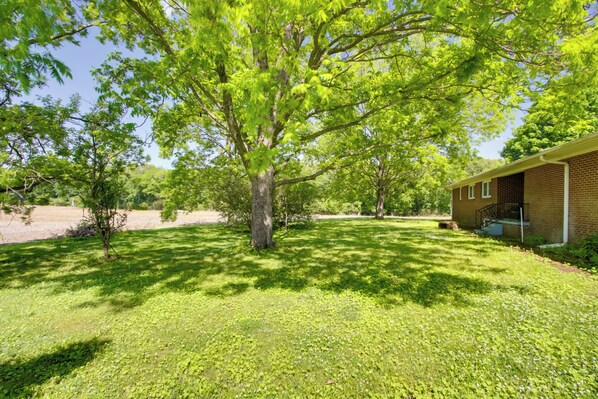 A grassy yard with a large tree and a brick building.