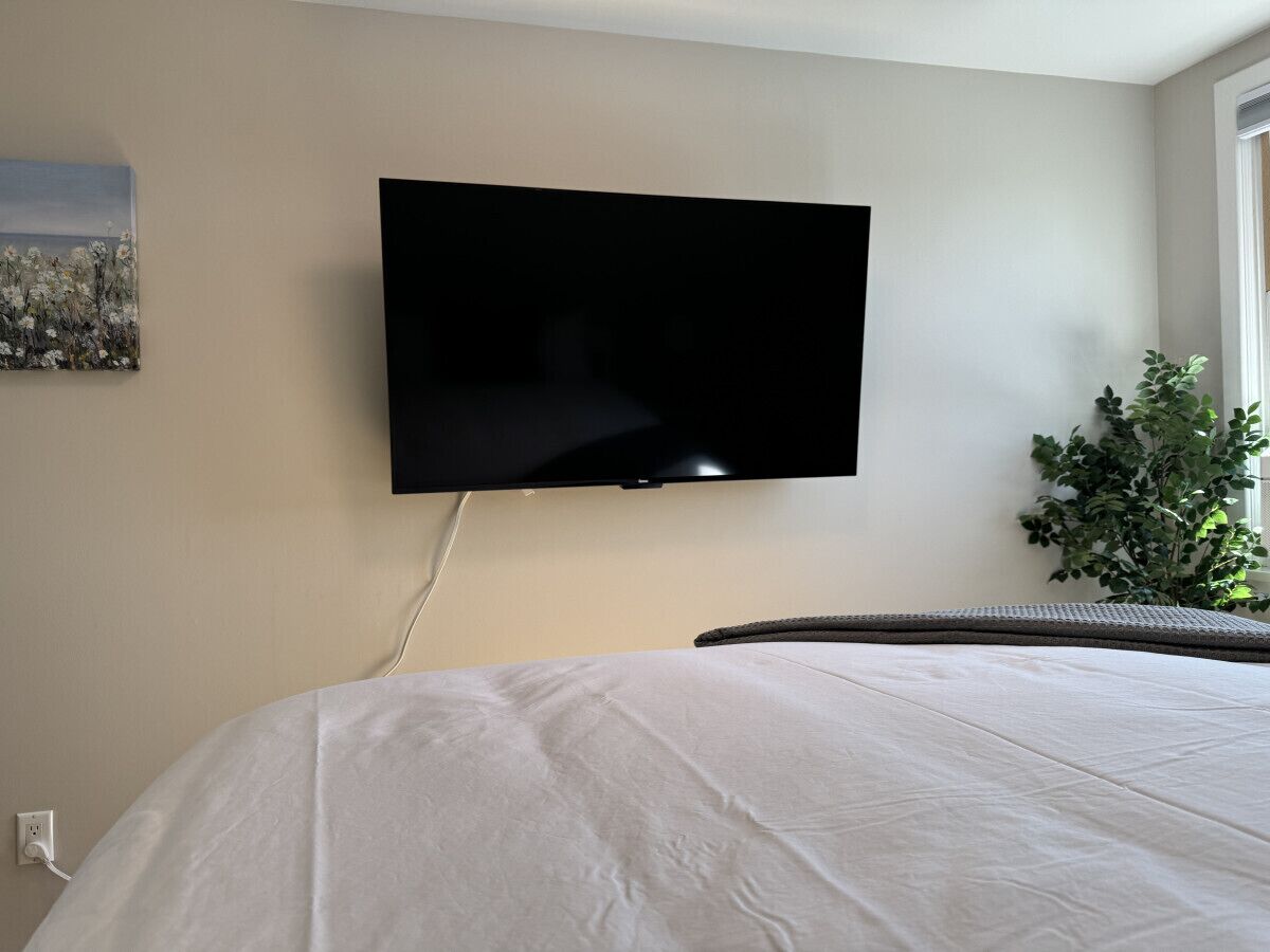 Ein Schlafzimmer mit einem großen Bett, einem an der Wand befestigten Flachbildfernseher, einem Wandbild und einem Blumentopf.