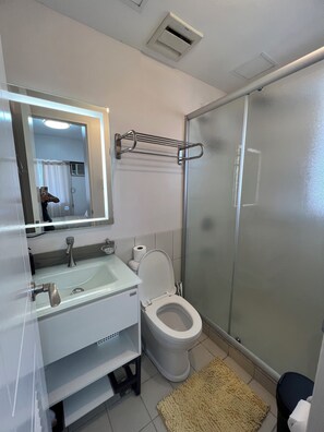 Shower, hair dryer, bidet, towels