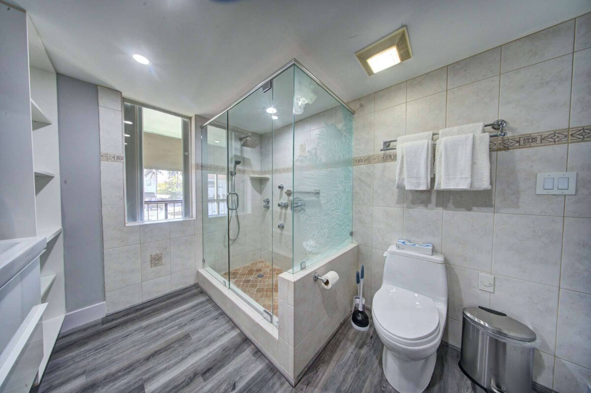 Shower, hair dryer, towels