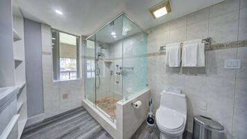 Shower, hair dryer, towels