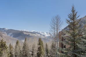 Unclassified image, 2 of 27, button - Fallridge Condo - Near Golf Course & Bus (Vail)