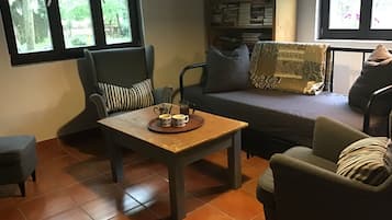 Smart TV y chimenea