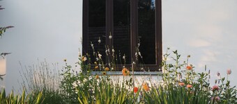 Cozy traditional hungarian country home