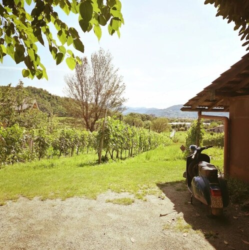 1 Bedroom Apartment in Costa di Mezzate