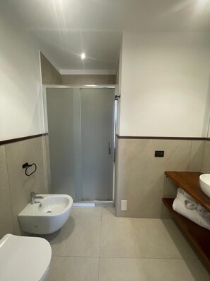 Regadera, secadora de cabello, bidet, toallas 