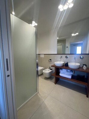 Shower, hair dryer, bidet, towels