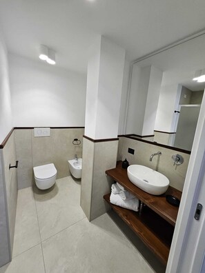 Shower, hair dryer, bidet, towels