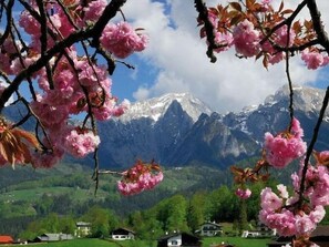 Interior detail - Rooster 2 -Kierngaßhäusl- (Schönau a. Königssee)
