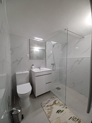 Shower, hair dryer, towels, soap