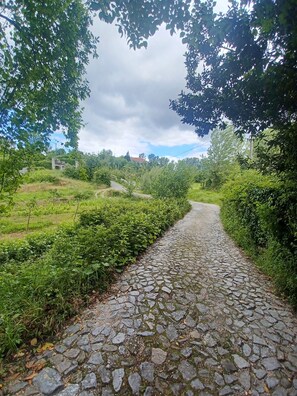 Overnattingsstedets uteområder