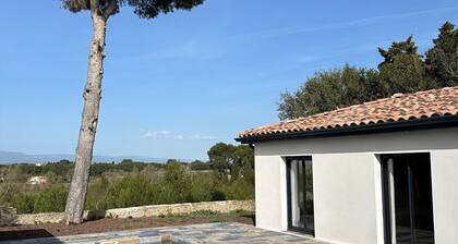 Maison Magnifique Carcassonne