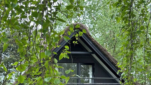A modern house with a large glass window, a balcony, and a brick exterior. - Cozy, thatched cottage with modern décor (Knebel)
