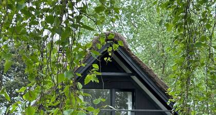 Cozy thatched cottage with modern décor