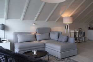 Una Smart TV, una chimenea, un reproductor de DVD, libros