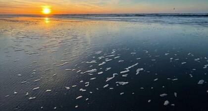 Strandstraße Bontje Komfortable Ferienresidenz