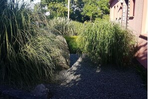Property grounds - Pond view in the house by the pond (Fehmarn)