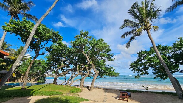 A beach with palm trees, a wooden bench, and a clear view of the ocean. - South Point Abbey Whole Villa 4 Bedroom (Sleeps 9) (Koggala)