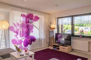 TV, lettore DVD, impianto stereo
