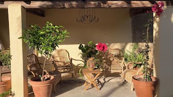 Terraza o patio