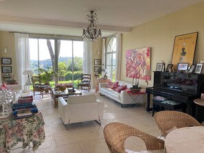 Televisor, llibres, biblioteca musical i estèreo 