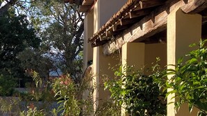 Ein Gebäude mit einem Ziegeldach, Terrakottatöpfen mit Pflanzen und Kiesgrund.