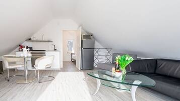 Smart-TV, Kamin