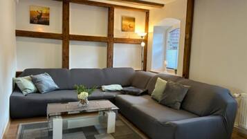 Fernseher, Kamin, DVD-Player, BĂŒcher